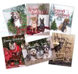 huggable holiday cards